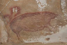 World’s oldest known cave painting discovered