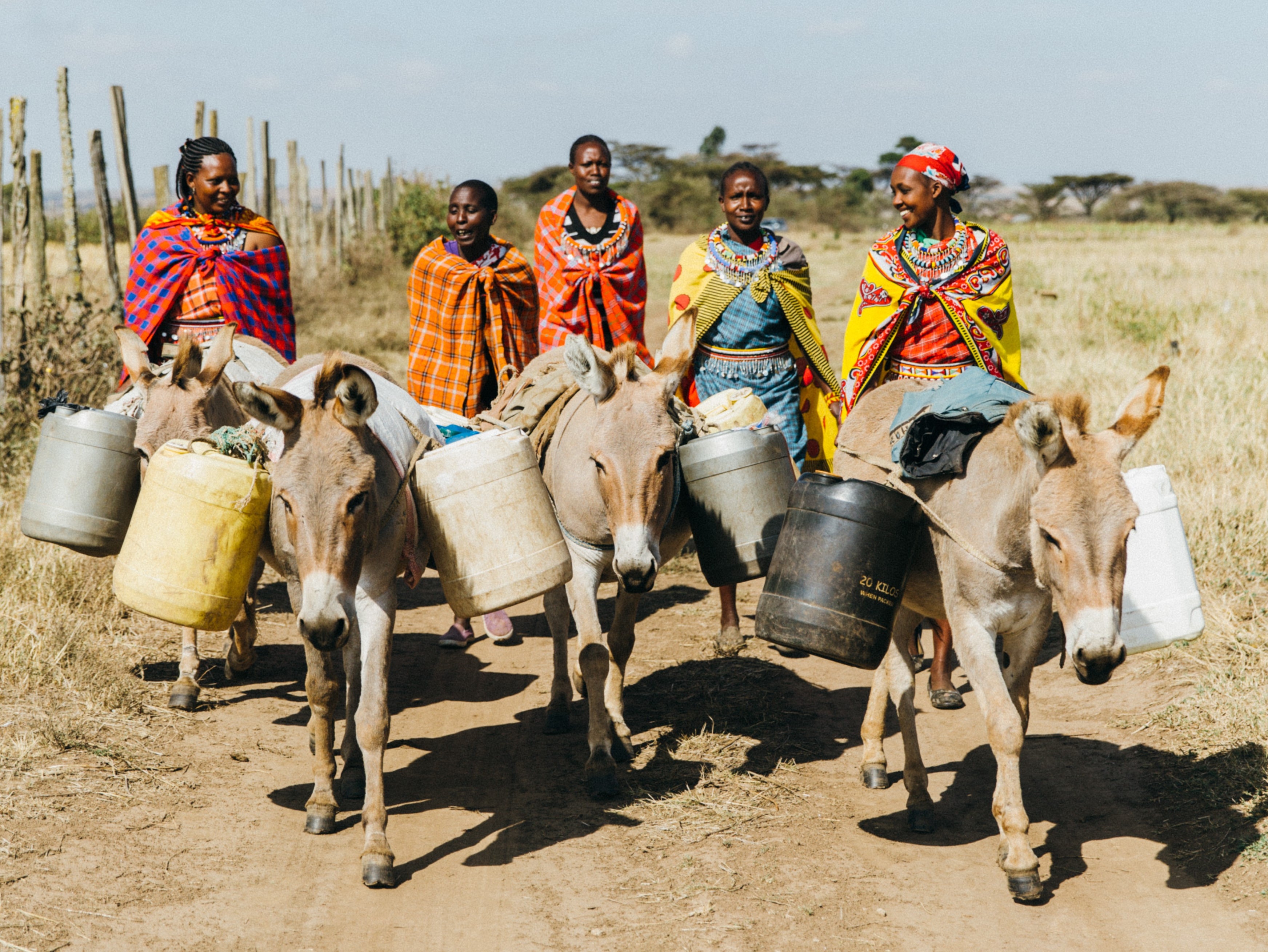 Women in Kenya walking with donkeys to fetch water