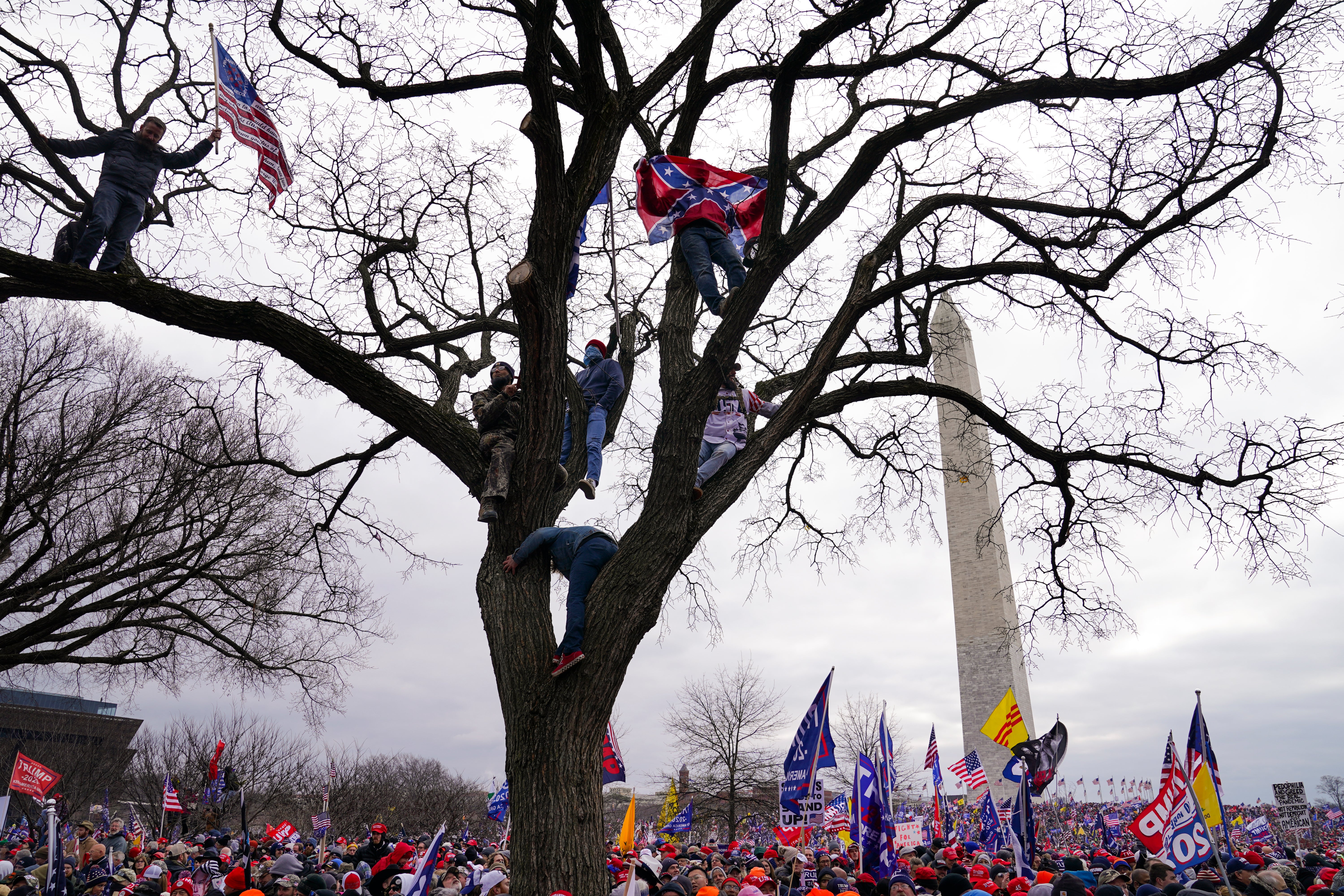 Capitol Breach Racist Symbols