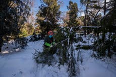 Madrid digs way out of post-storm garbage, damaged trees