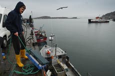 Scottish fishermen eviscerate Johnson’s ‘desperately poor’ Brexit deal