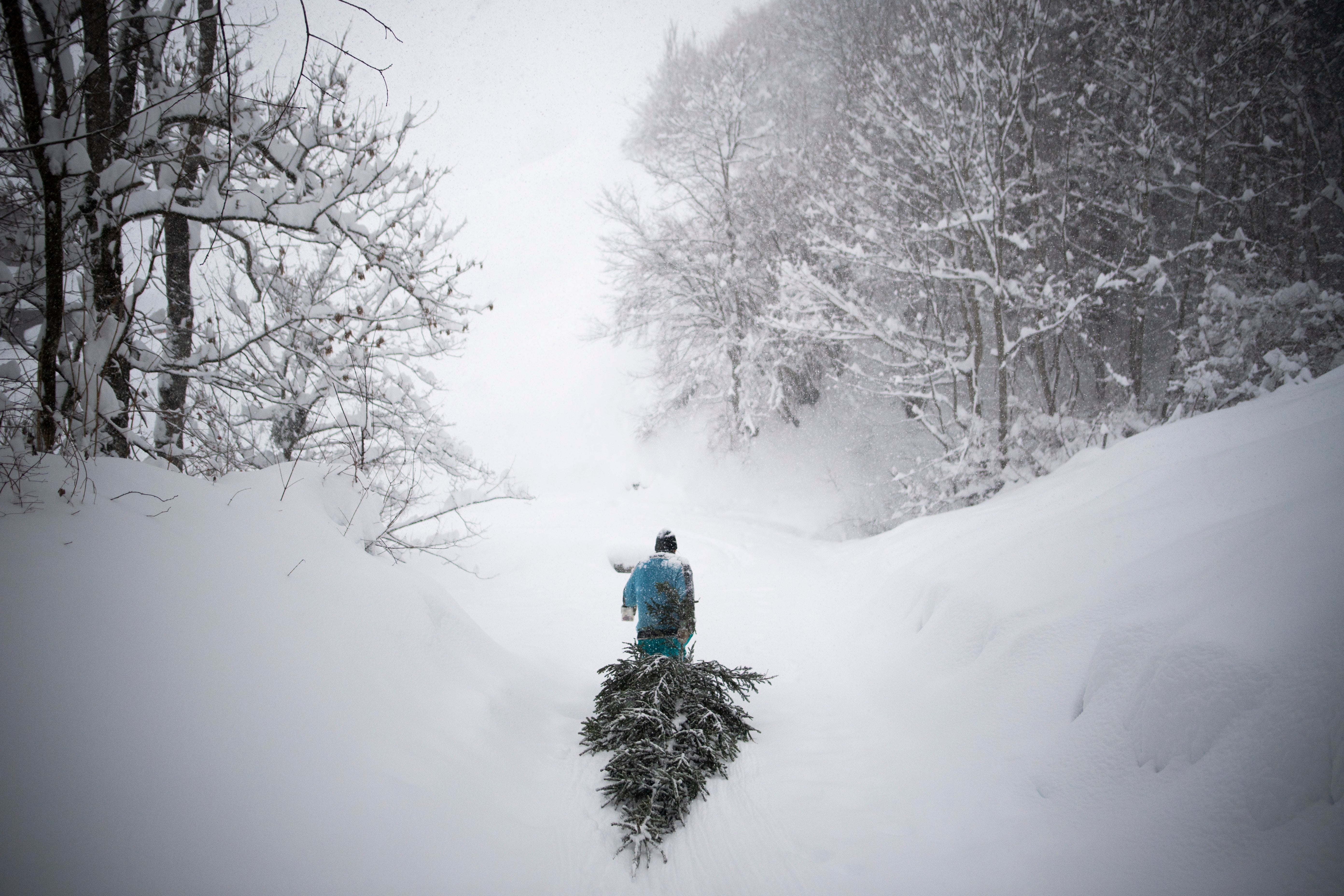 Switzerland Weather