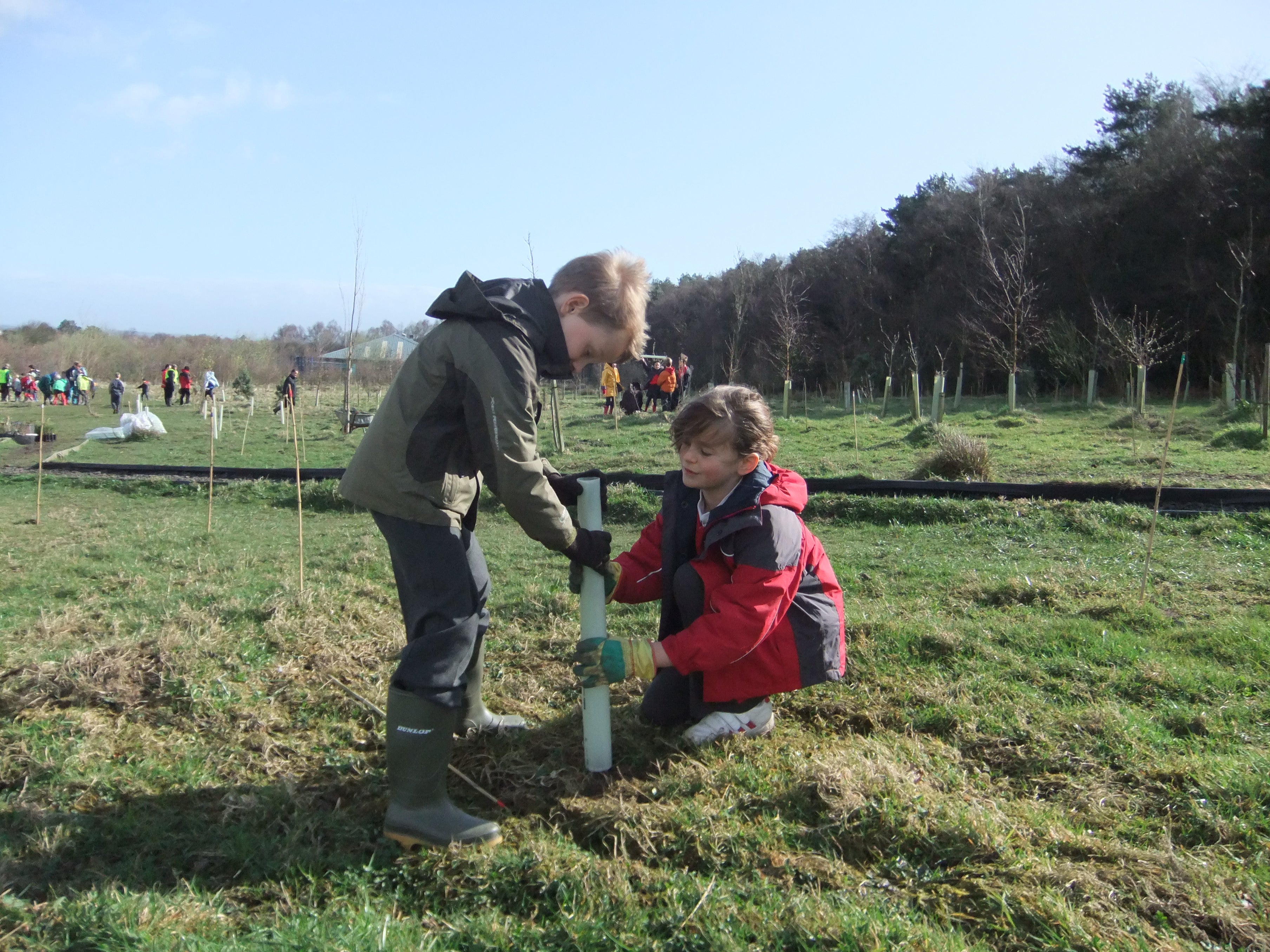 Children from Western Primary School in Harrogate planting trees in Rotary Wood in March, 2011