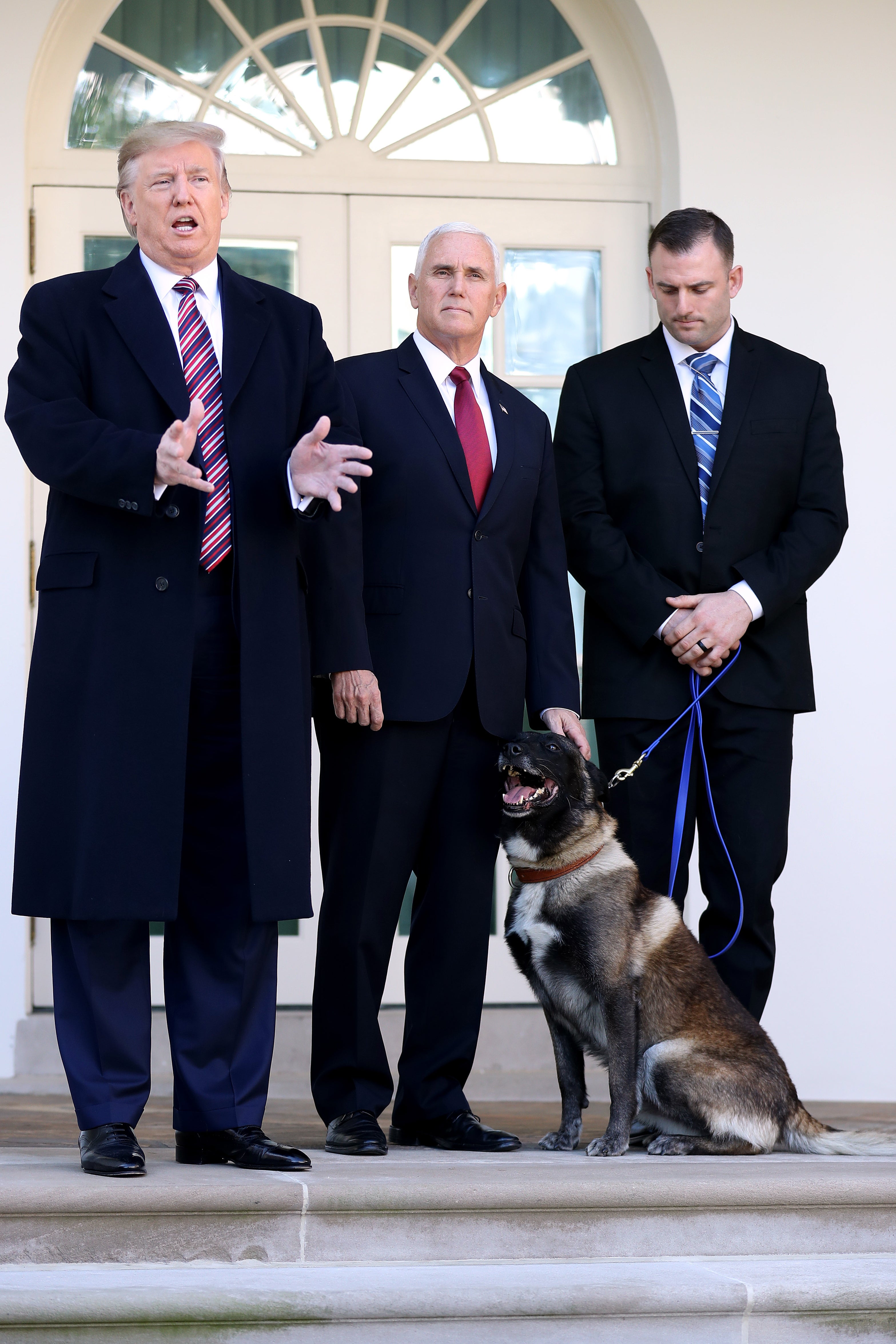 Trump tells the media about how Conan is a hero and said he presented the animal with a medal and a plaque