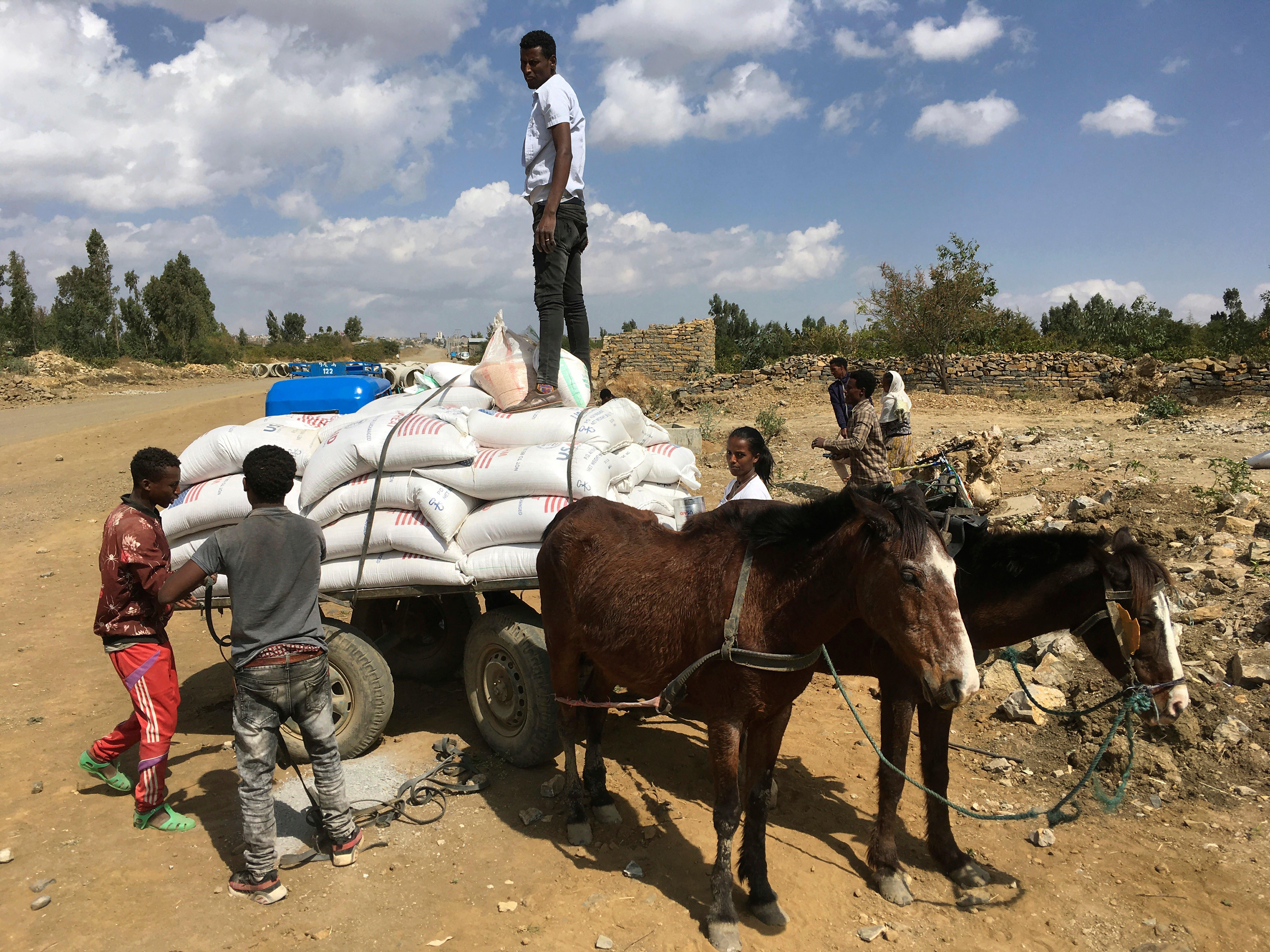 Ethiopia Hunger's Shadow