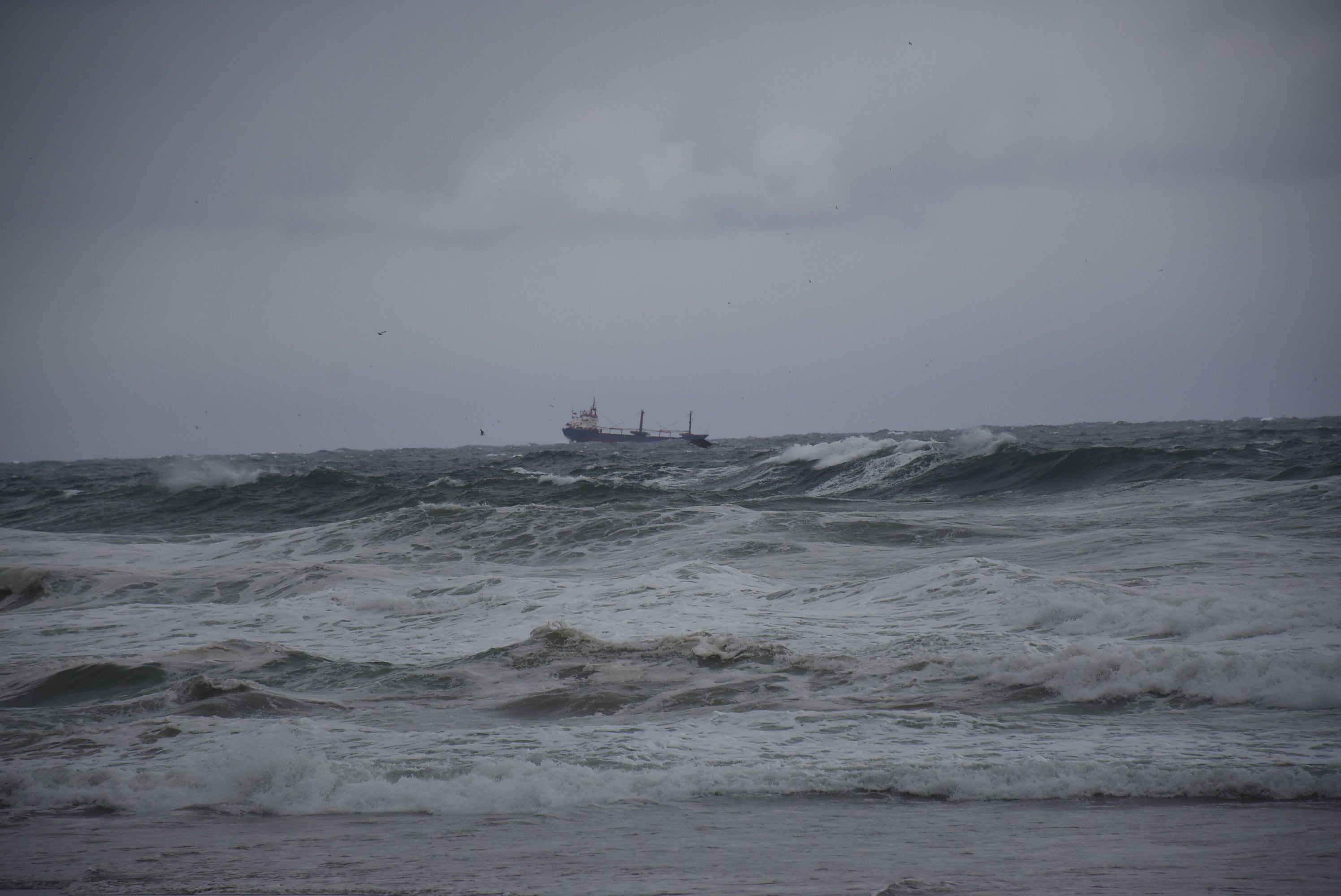 Pictured: the area of the black sea where the cargo ship sunk