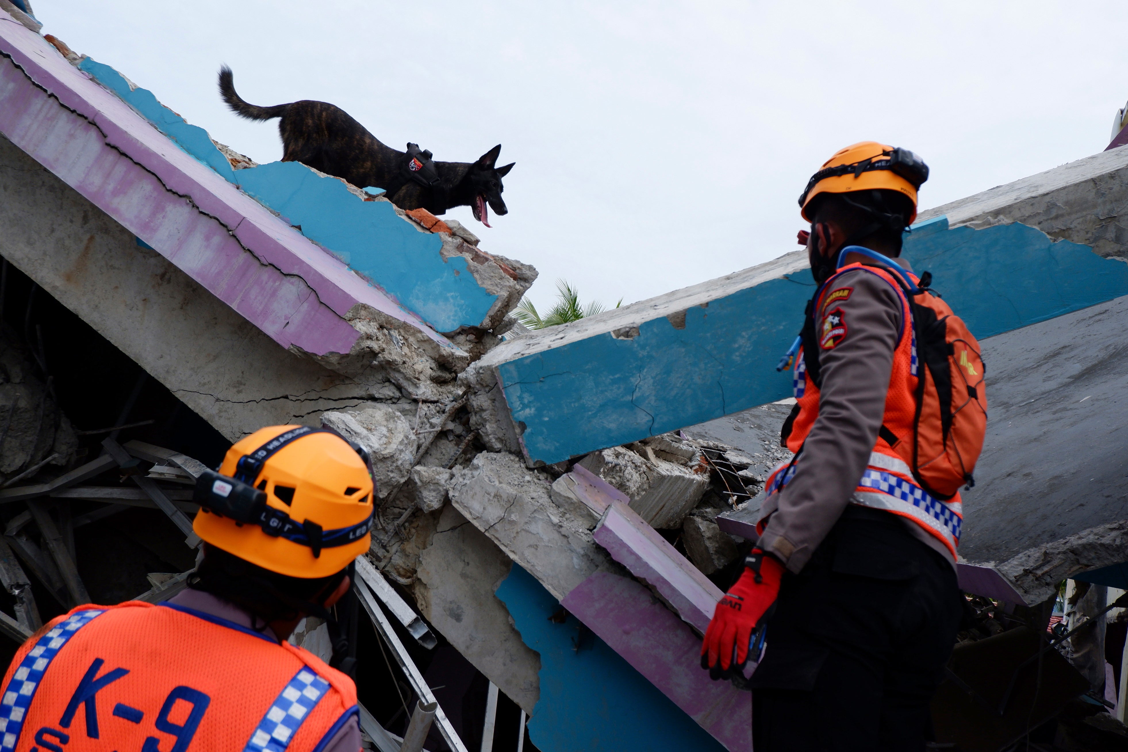 Indonesia Earthquake