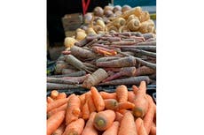 Warm meals for cold times: Getting to know root vegetables