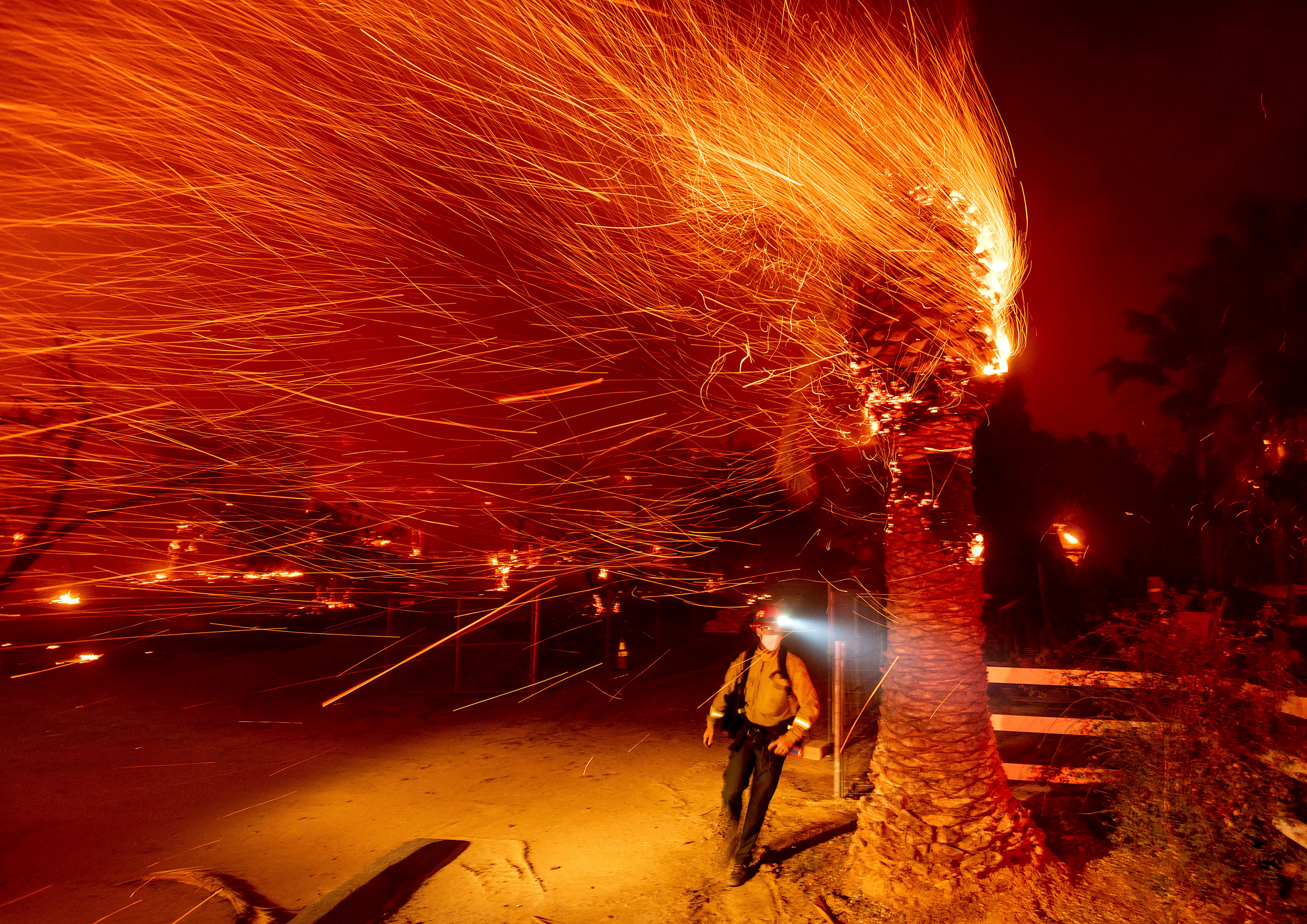 A firefighter passes a burning tree while battling the Bond Fire in Orange County, California last month. More fires have erupted and red flag warnings are in place during what is typically the state’s rainy season