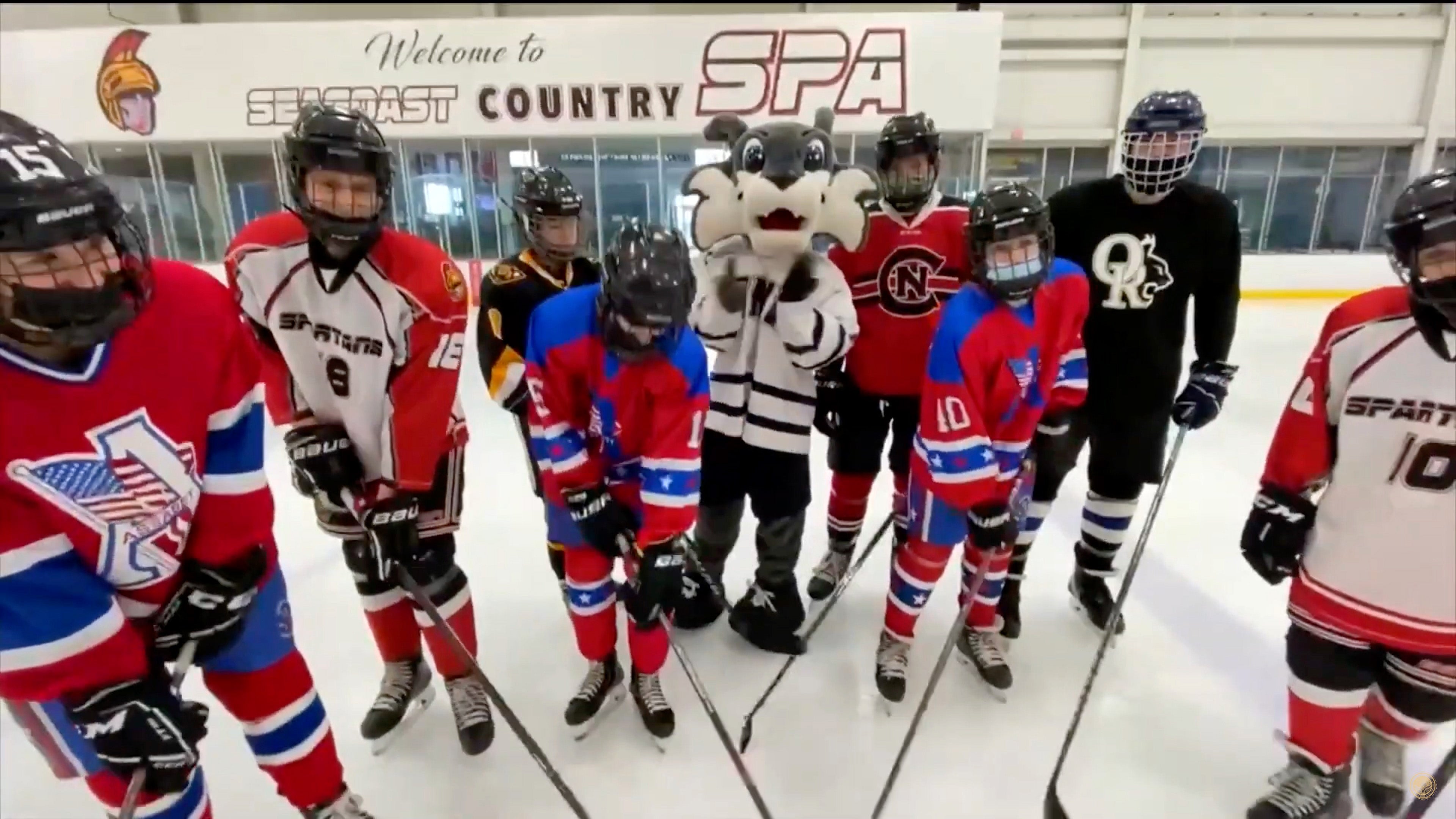 New Hampshire Hockey Greeting