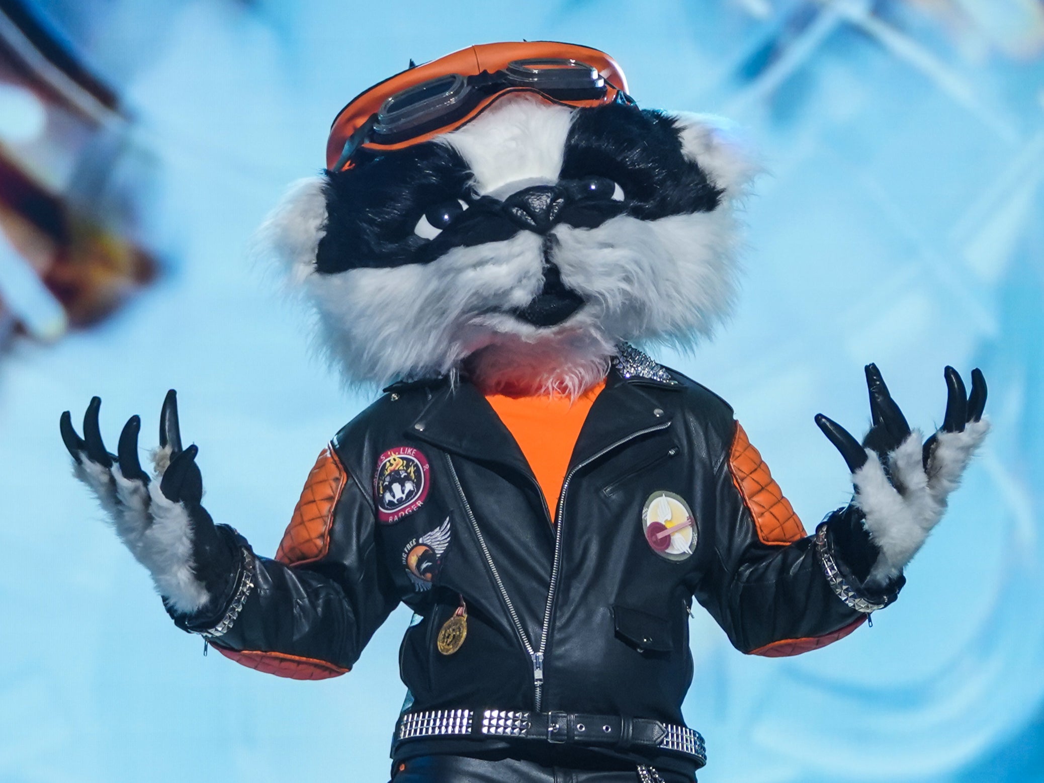 The mysterious Badger on The Masked Singer UK