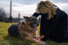 Presidential pets: From Joe Biden’s dogs in disgrace for biting to Larry the Downing Street cat