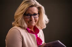 Why is Liz Cheney fighting for her political life?