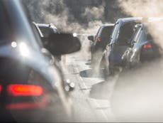 Air pollution exposure could increase risk of irreversible sight loss, study suggests