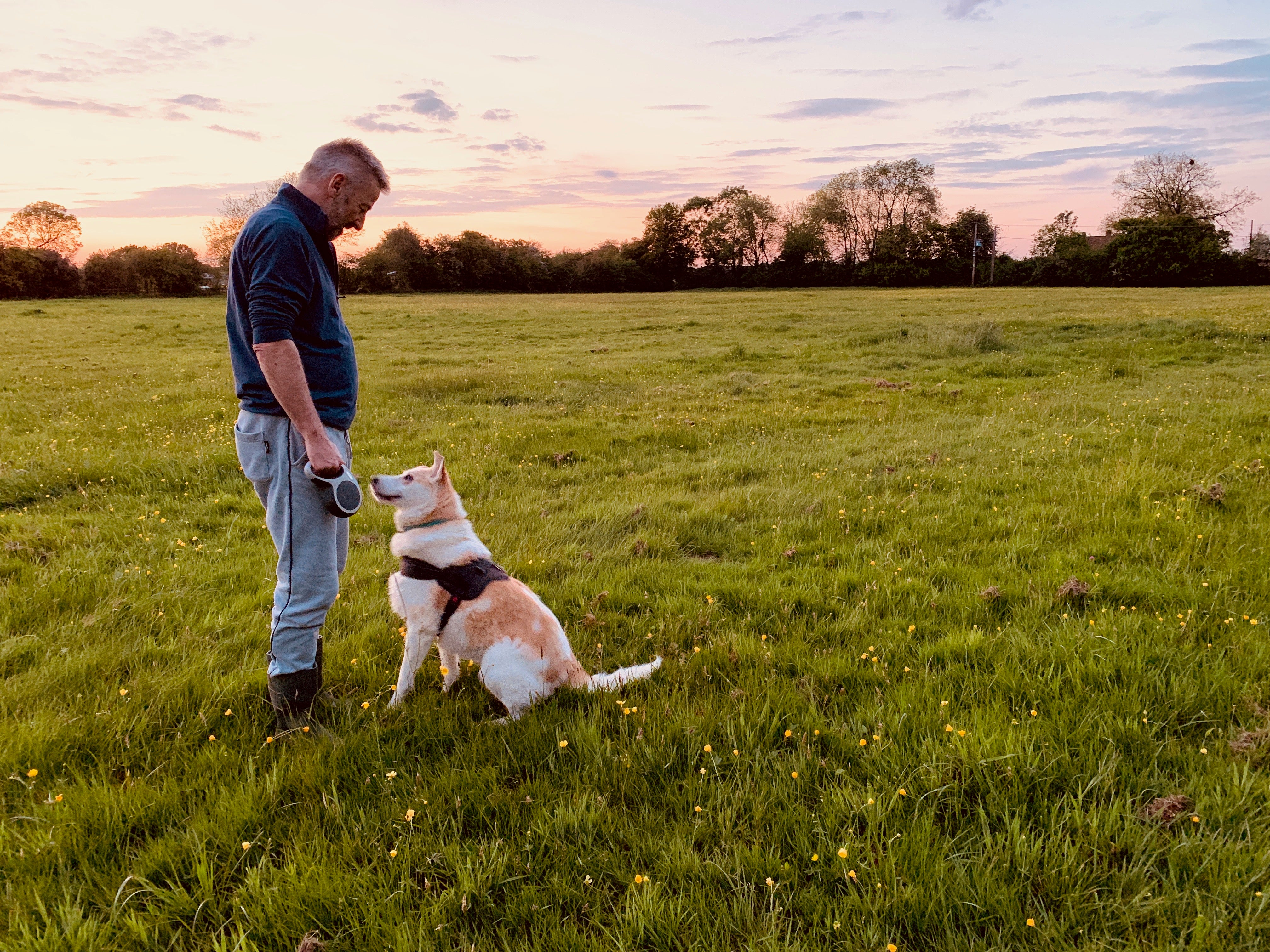 The writer with his Romanian rescue, Duchess