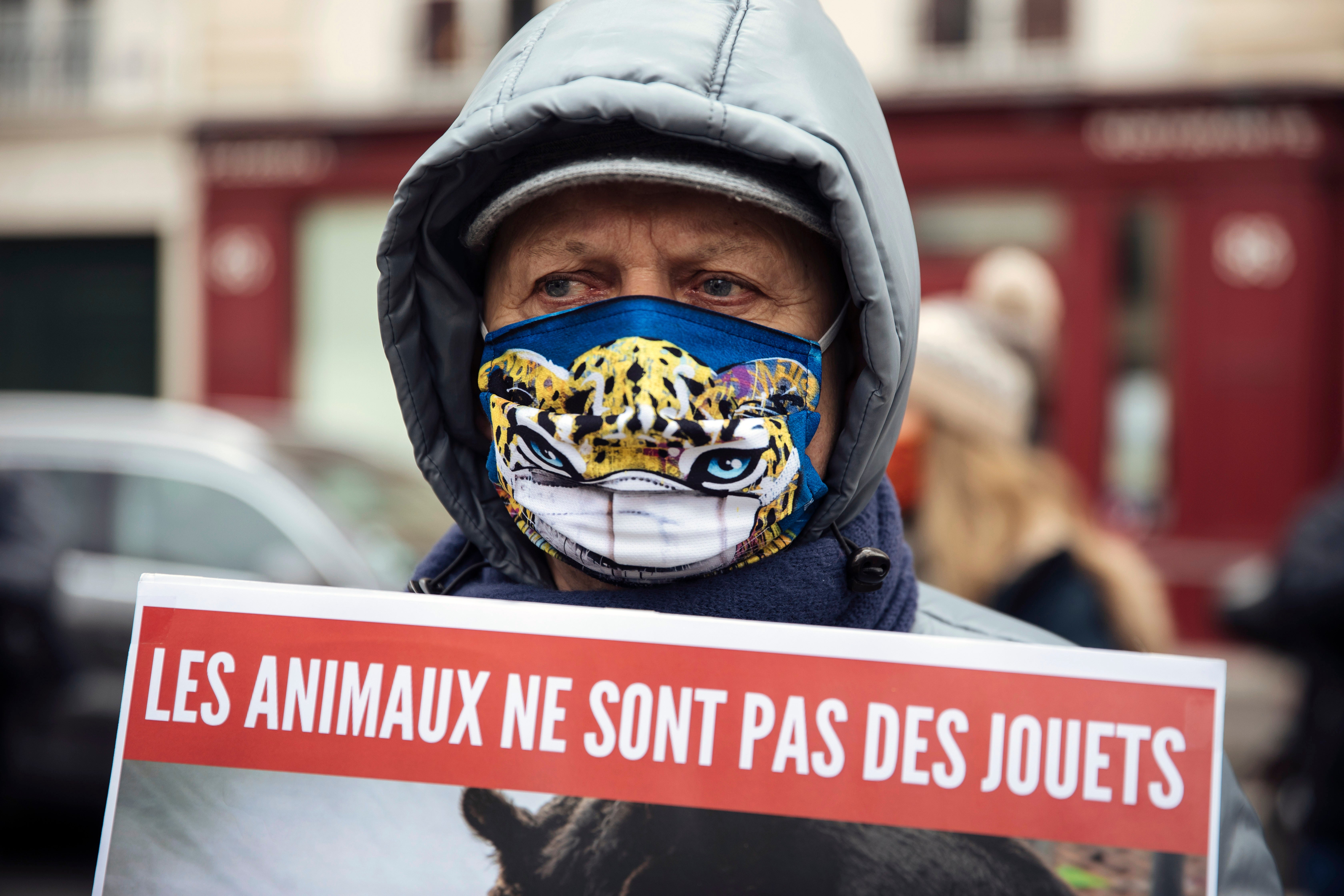 France Animal Abuse