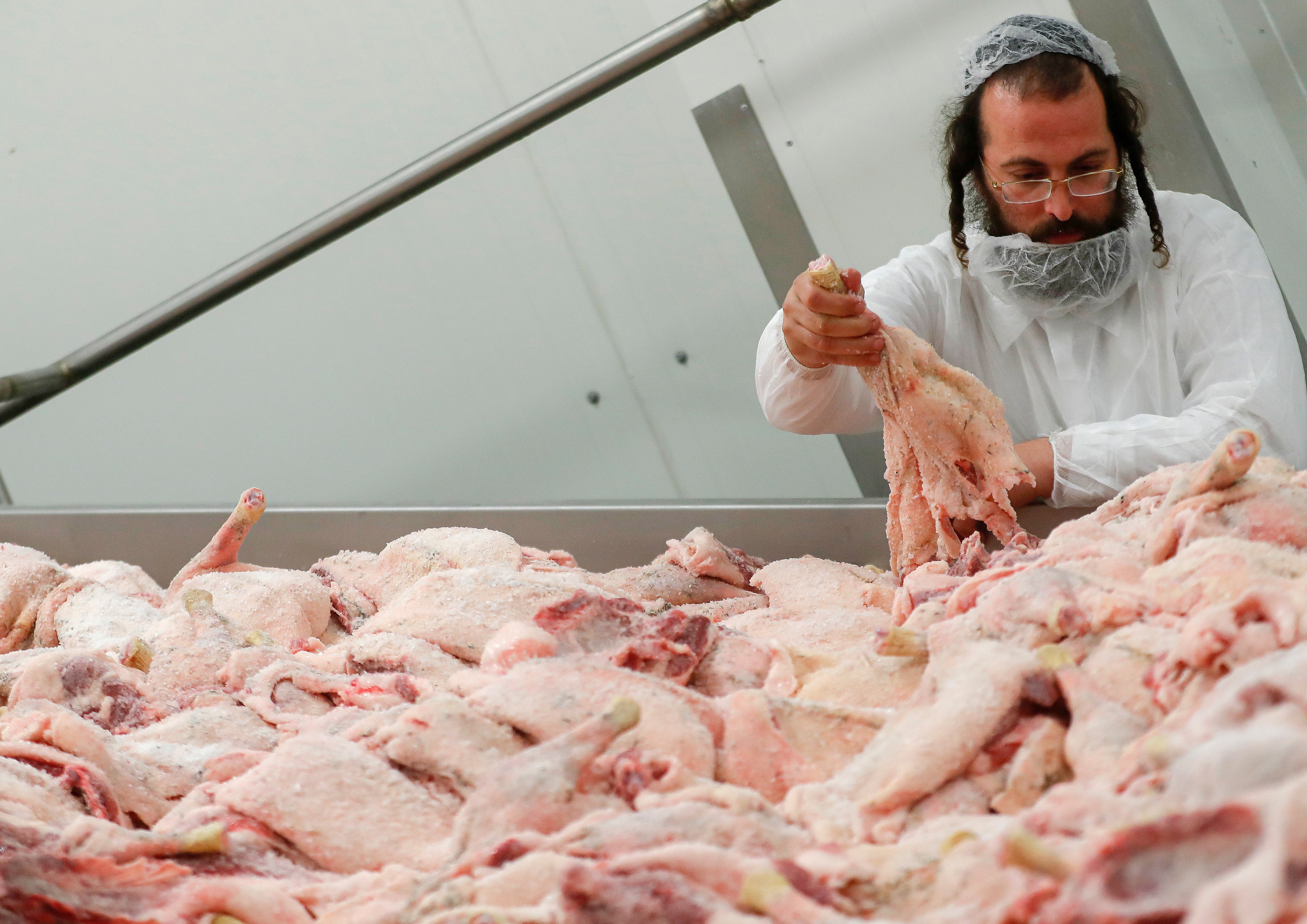 Hungary Kosher Slaughterhouse