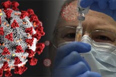 What you need to know about the coronavirus variants