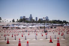 Anti-vaccine protesters temporarily shut down major coronavirus vaccine site 