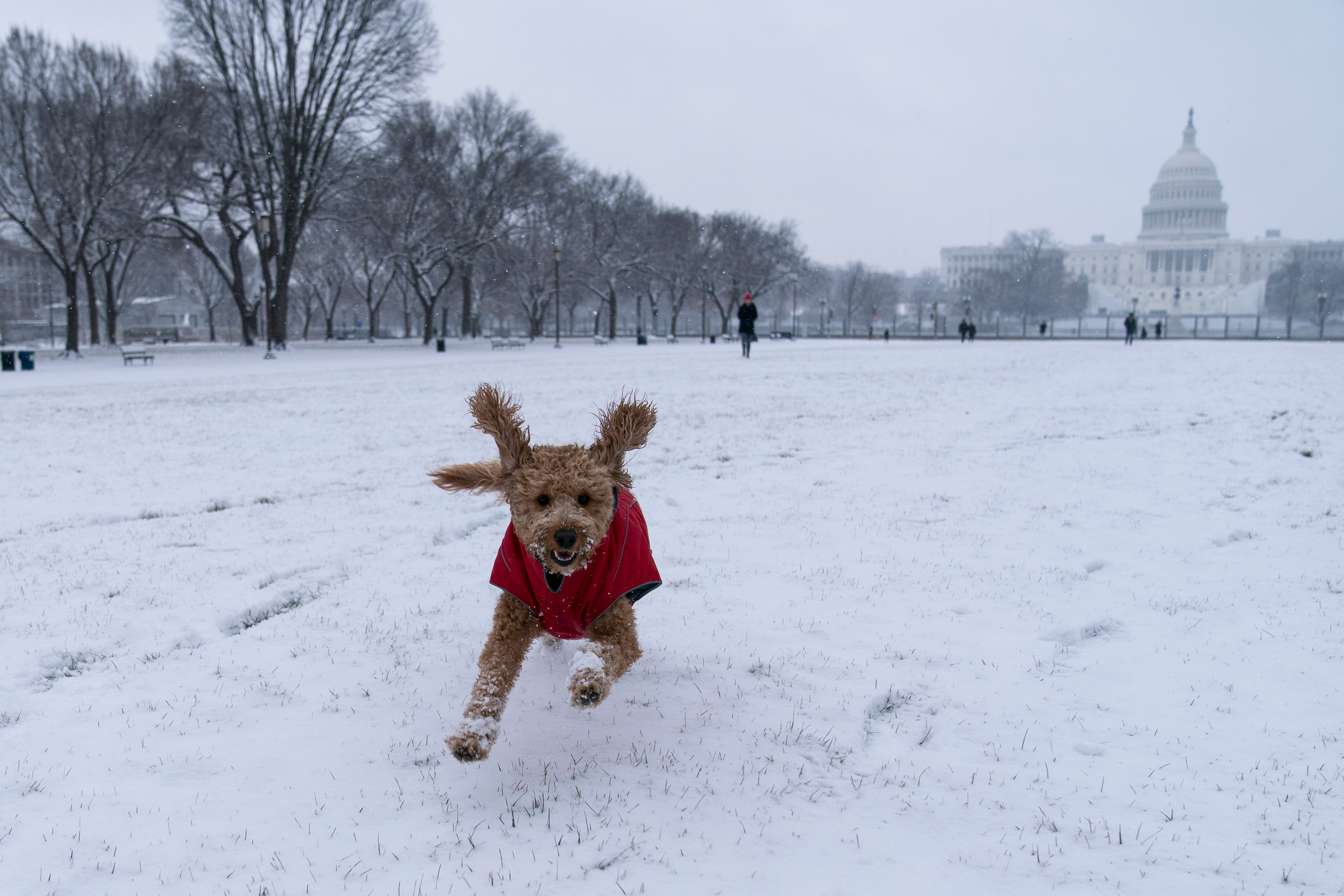 Winter Weather Washington