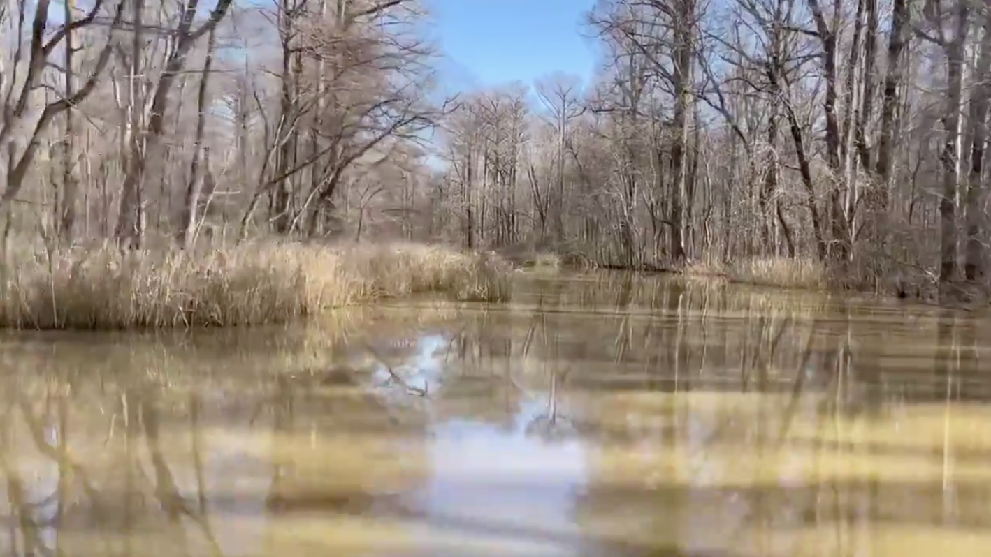 Investigators were searching the area surrounding Reelfoot Lake after the murders came to light last week