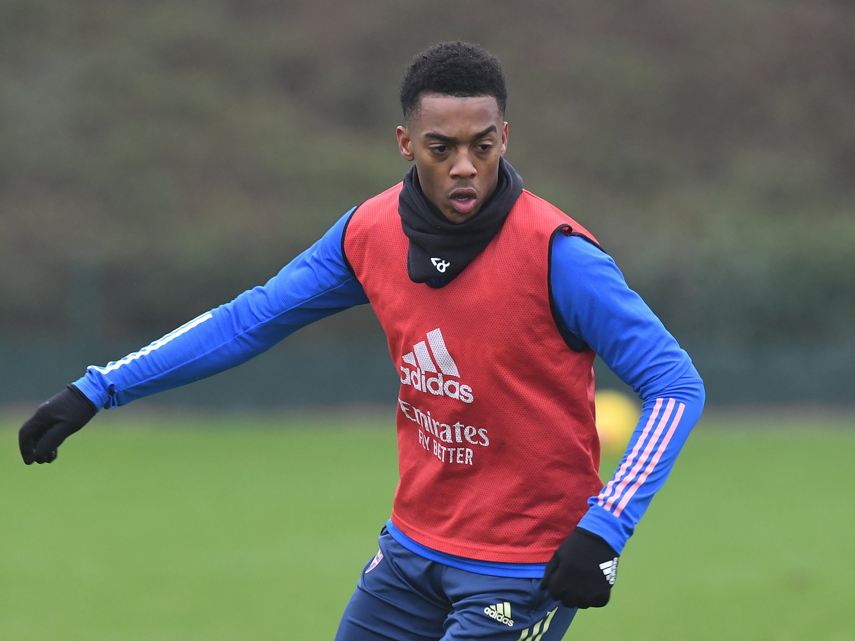 England U21 international Joe Willock has joined Newcastle on loan from Arsenal