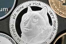 Elon Musk says he bought Dogecoin for his baby ‘Lil X’ in latest cryptocurrency stunt