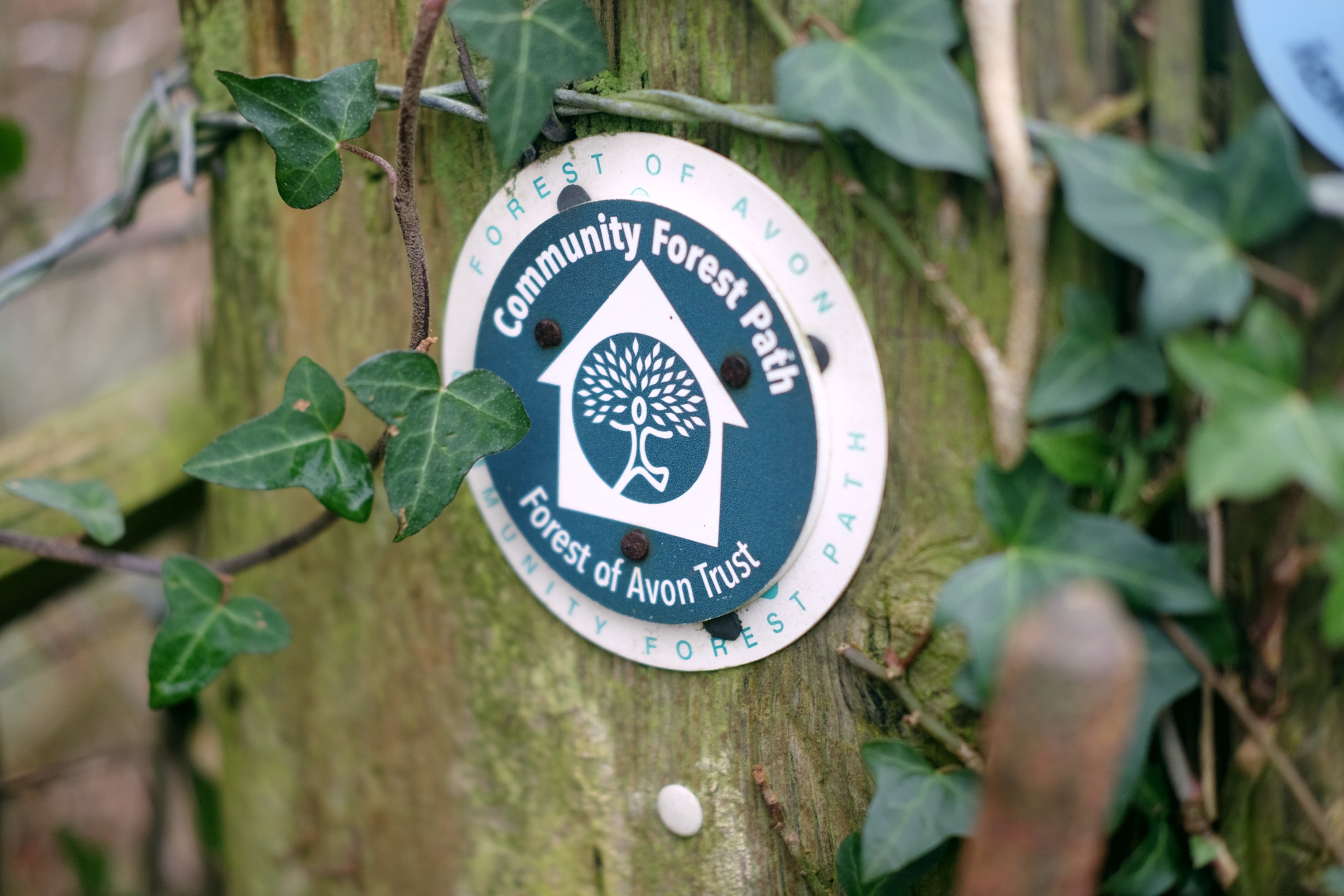 Community Forest Path waymarker