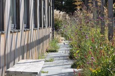 No UK travel until May, predicts poll