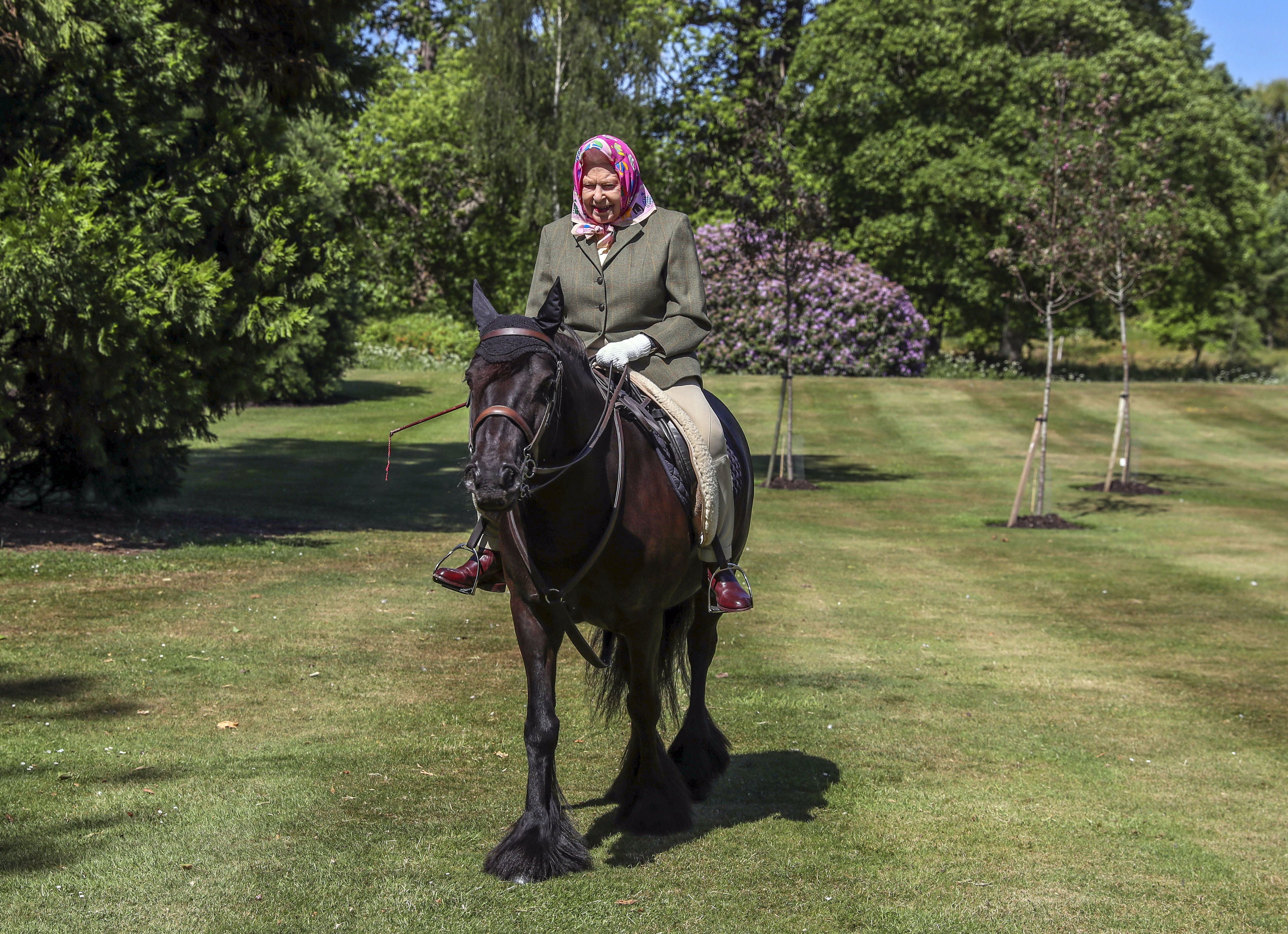 Queen Elizabeth riding Balmoral Fern in Windsor Home Park last May. The Queen is set to enter the milestone 70th year of her reign