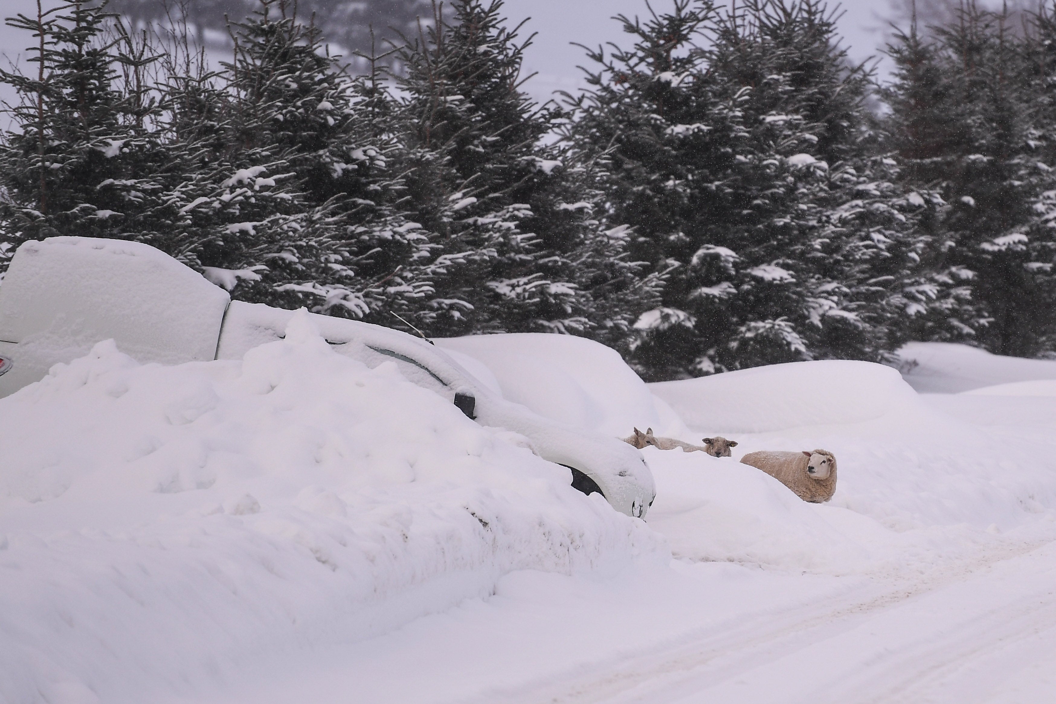 A snowed-in car in Cabrac, Scotland