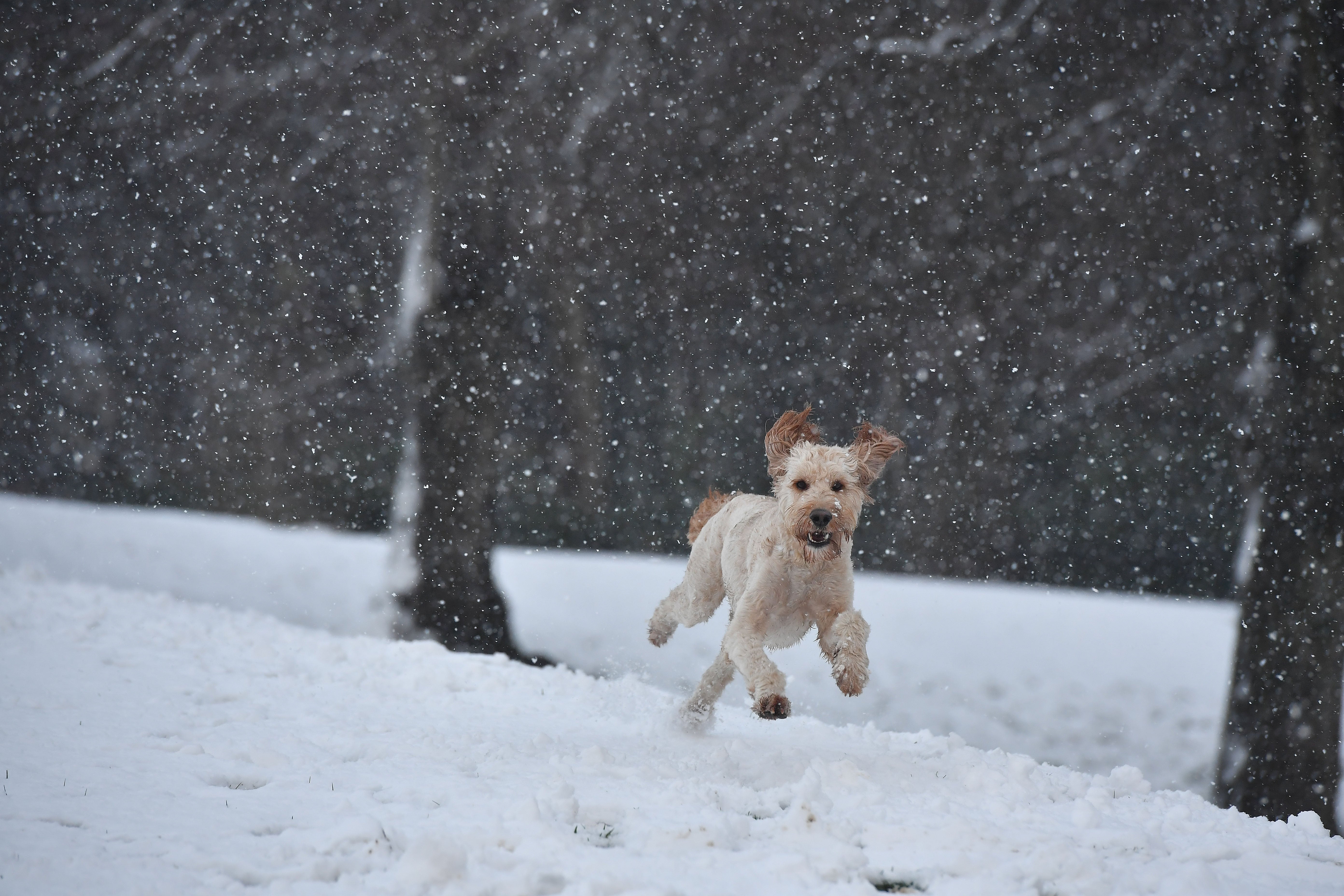 Effects of Storm Darcy look set to continue for the coming days