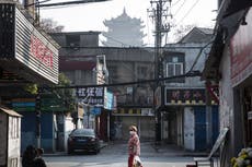 ‘Extremely unlikely’ that Covid spread from Wuhan lab leak, says WHO