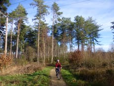 Cycling Dorset’s Castleman Trailway, a former railway