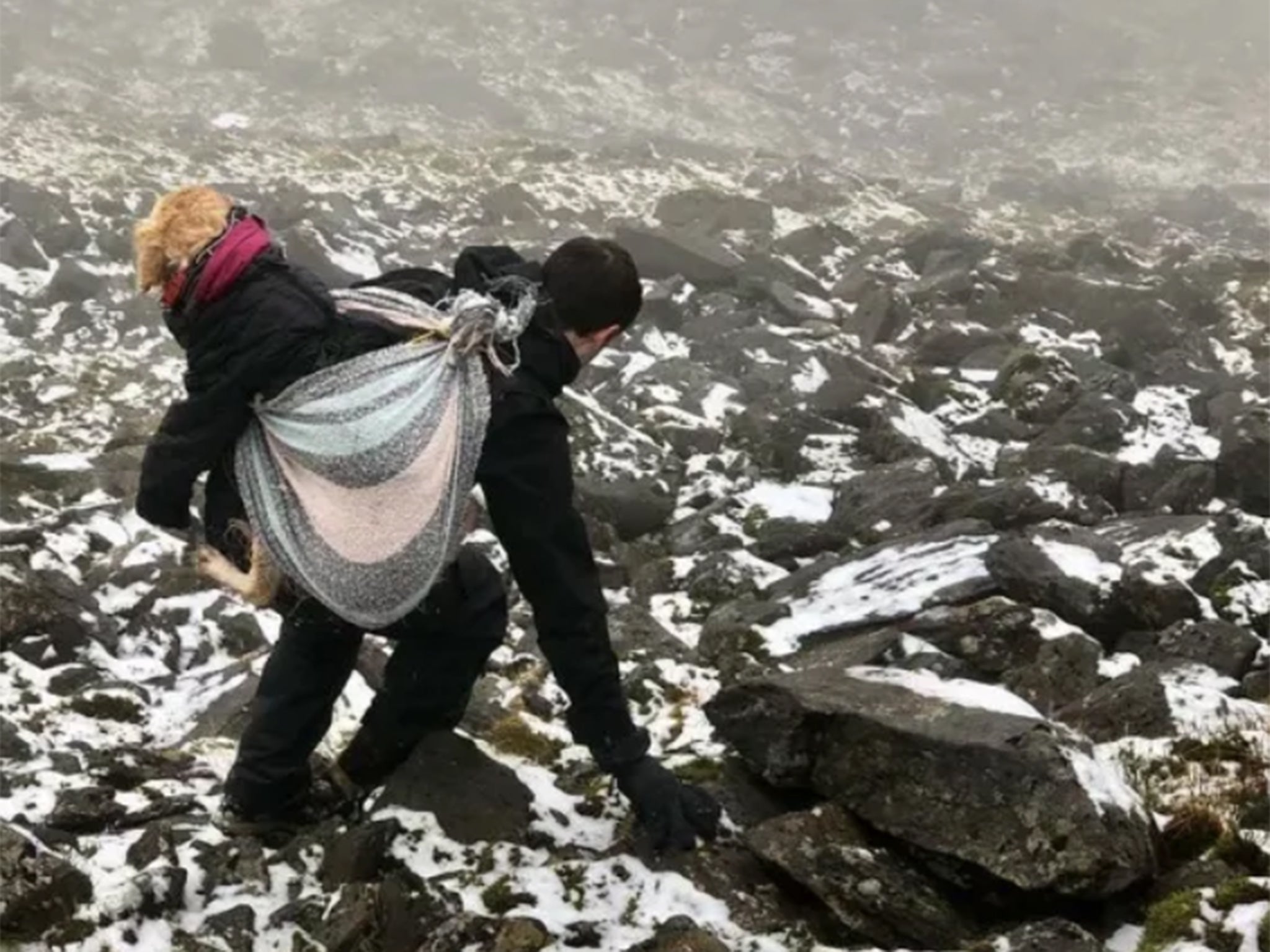 Bonnet carried the dog some five miles down the mountain in treacherous conditions