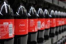 Coca-Cola, leading plastic polluter, says it will sell some 100% recycled bottles in US
