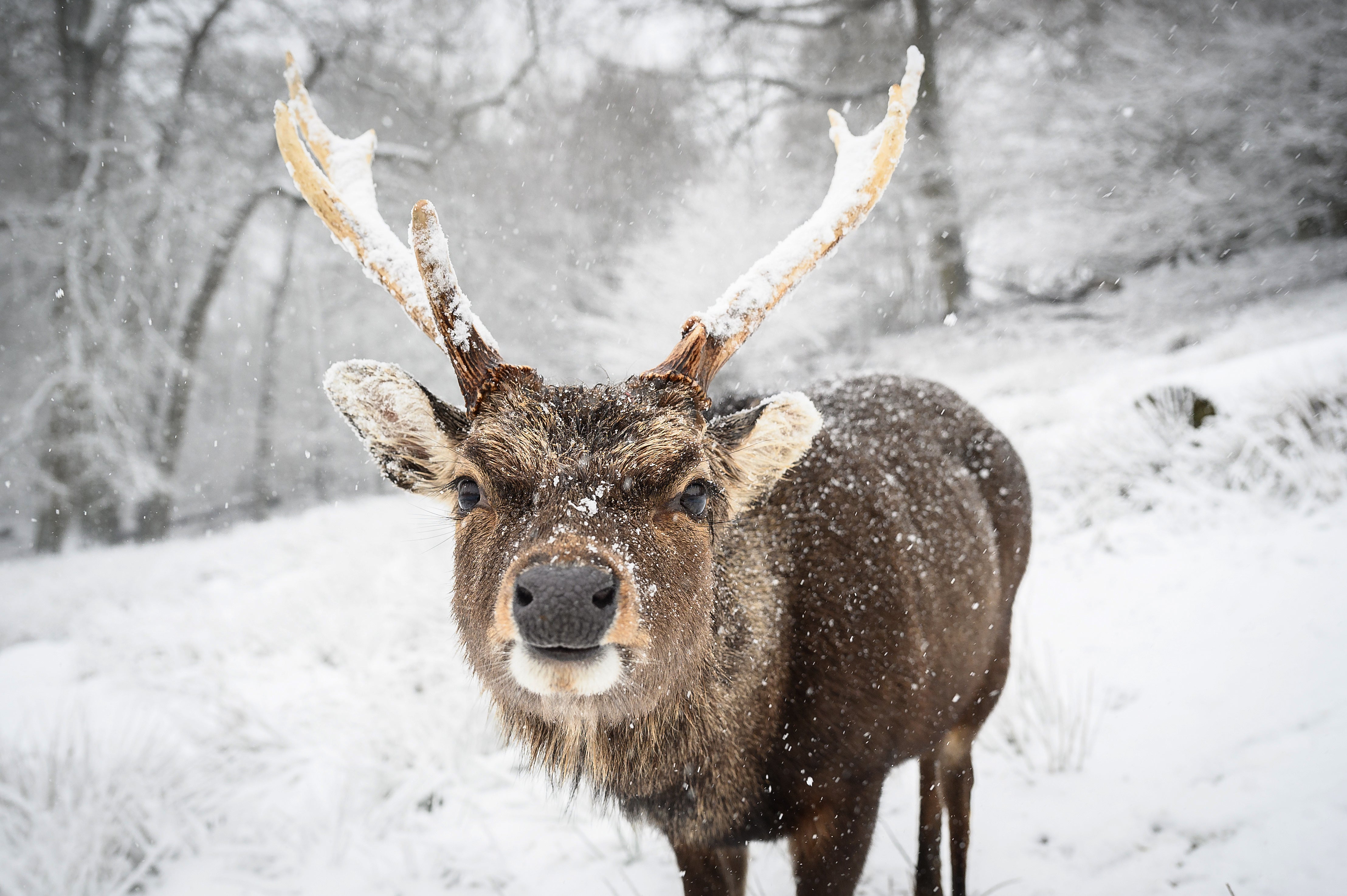 Snow and ice will stick around in eastern parts of the UK