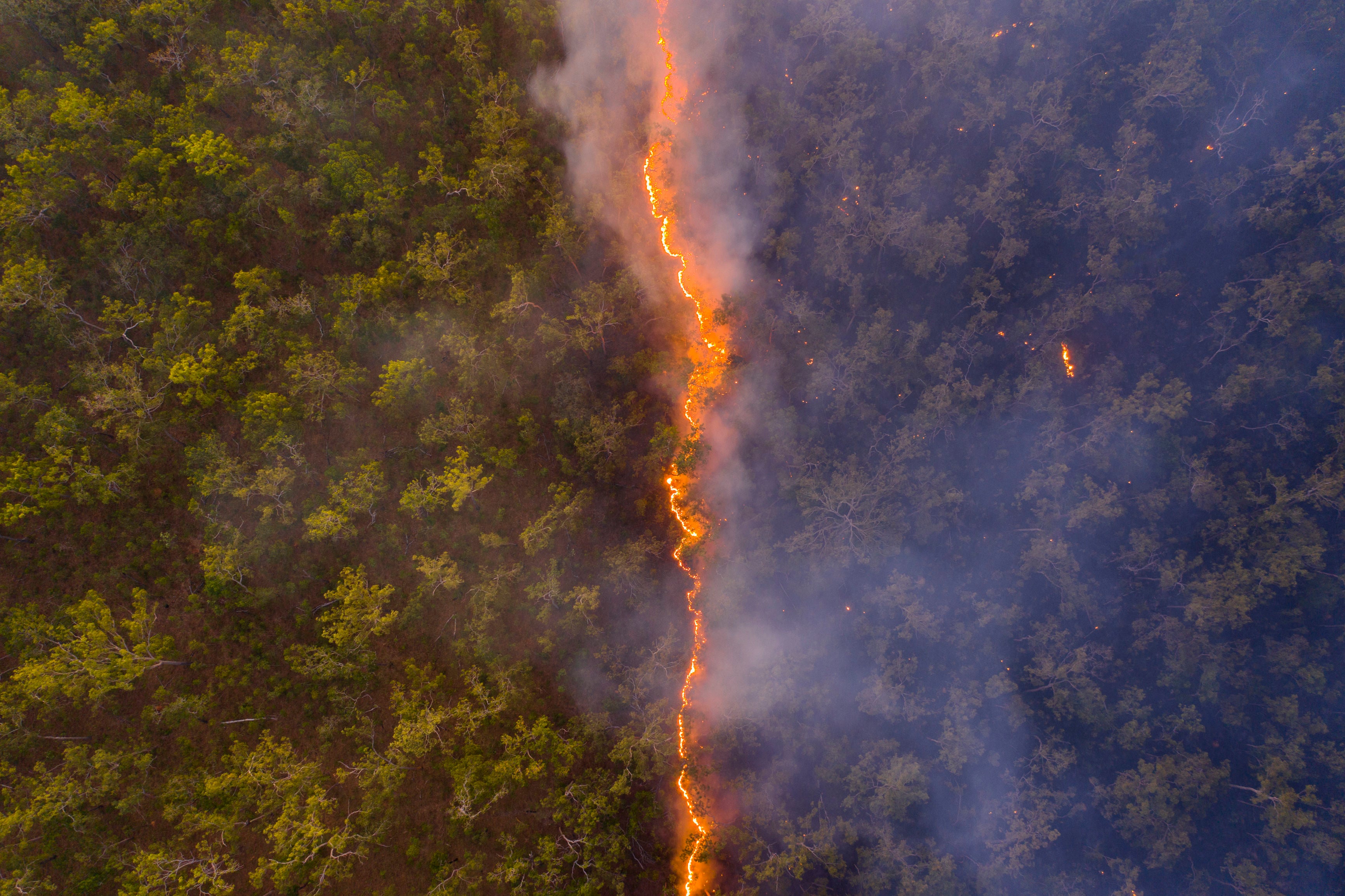 A fire line leaving a trail of destruction through woodland near the border of the Steve Irwin Wildlife Reserve in Cape York, Queensland