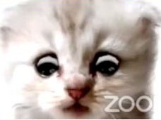 <p>Attorney Bruce Castor, representing and defending former President Donald Trump, addresses the U.S. Senate on 9 February 2021</p>