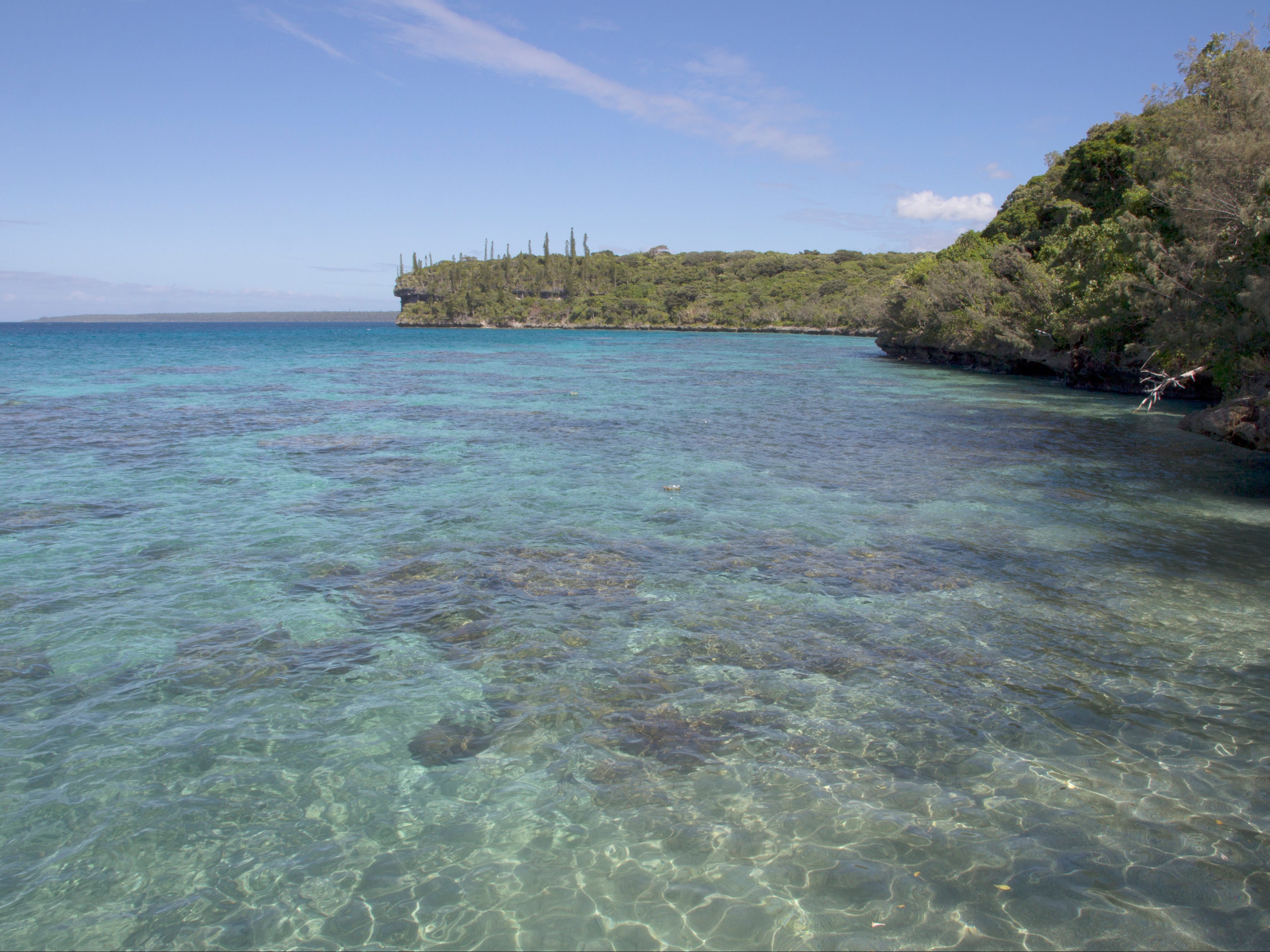 An earthquake has struck in the South Pacific region