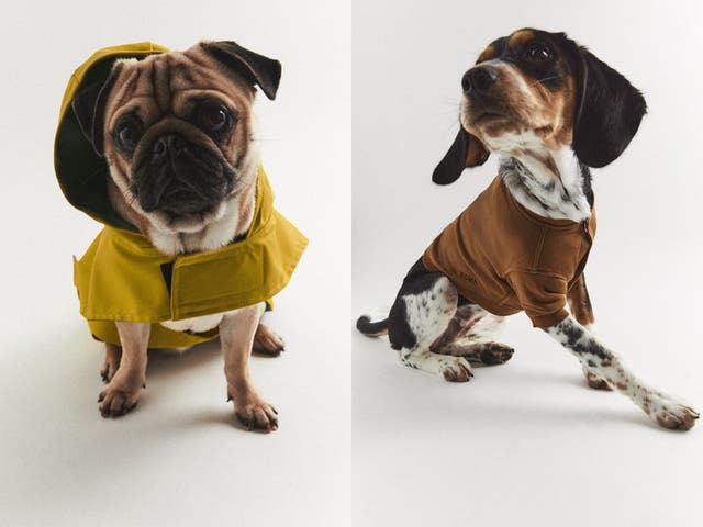 <p>From cosy hoodies to waterproofs, the retailer’s new range has got your pooch covered</p>