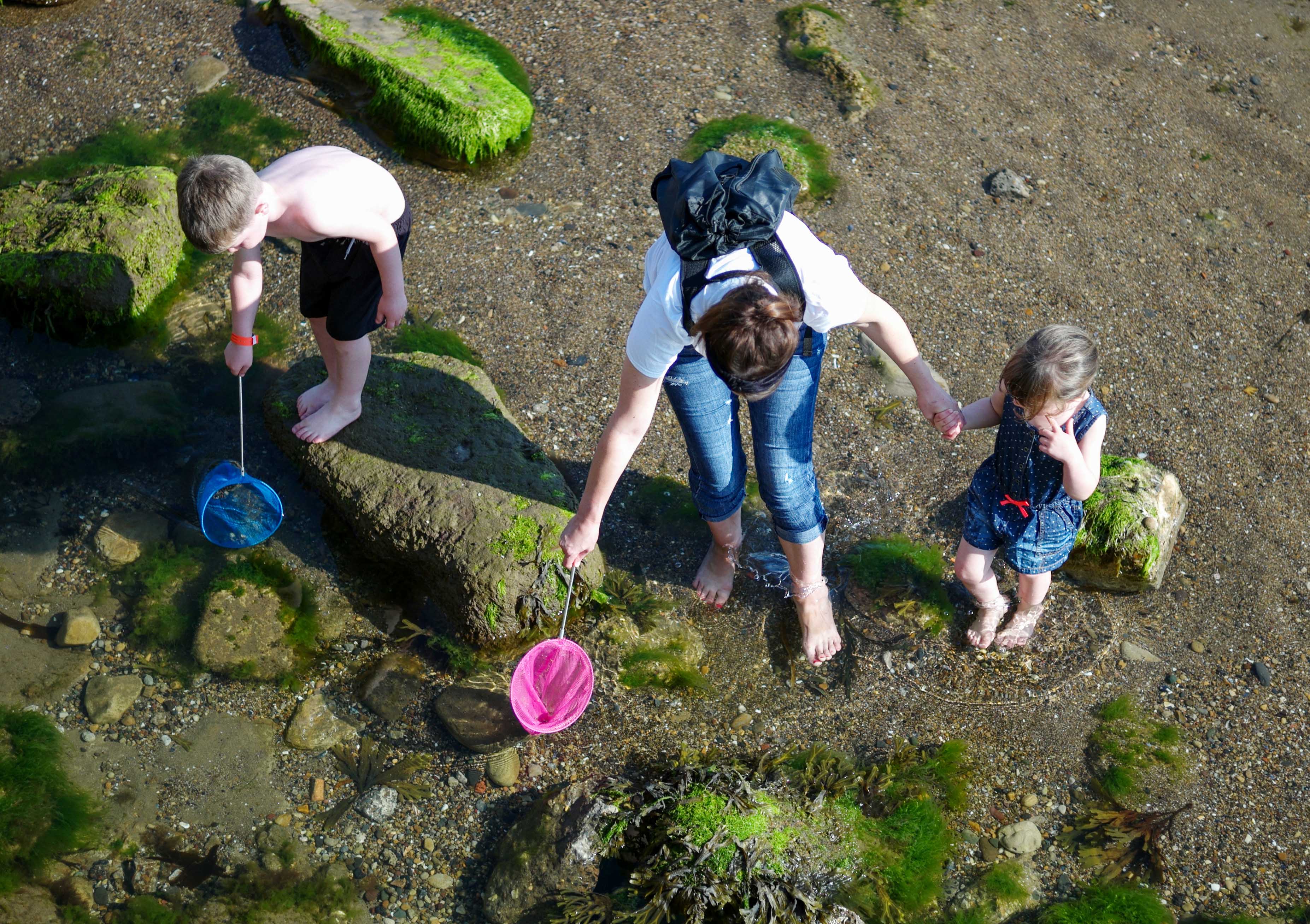 A family hunt for crabs in the rock pools on Scarborough beach