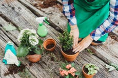 Why Australians are leaving plants out for strangers