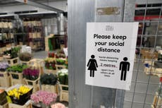 UK risks ‘another large wave’ of Covid if restrictions lifted too early, scientist warns