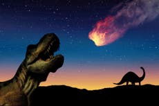 Theory claims to finally reveal how the dinosaurs were killed