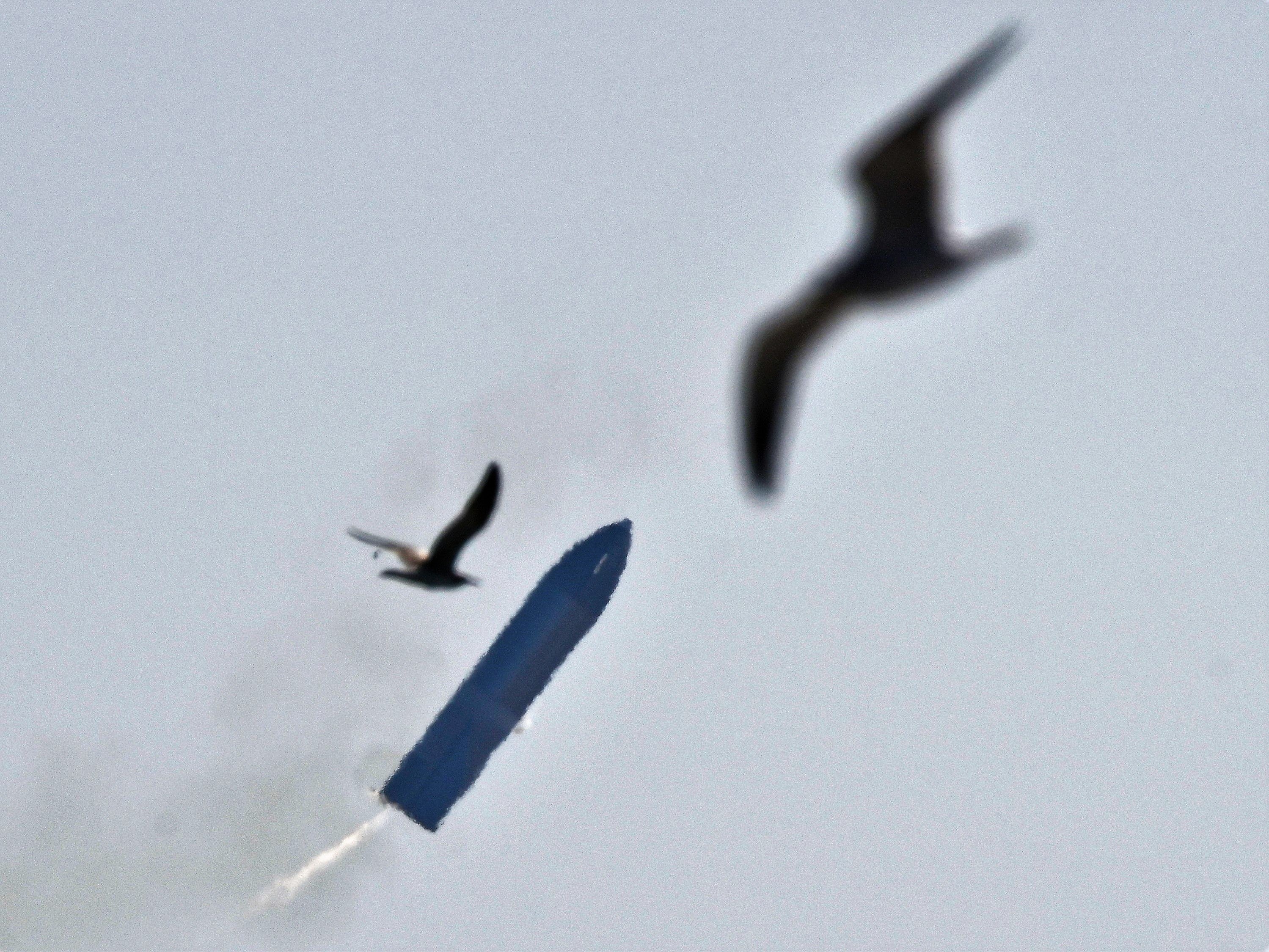 SpaceX launches Starship SN9 for a test flight from its facilities in Boca Chica, Texas, US 2 February, 2021