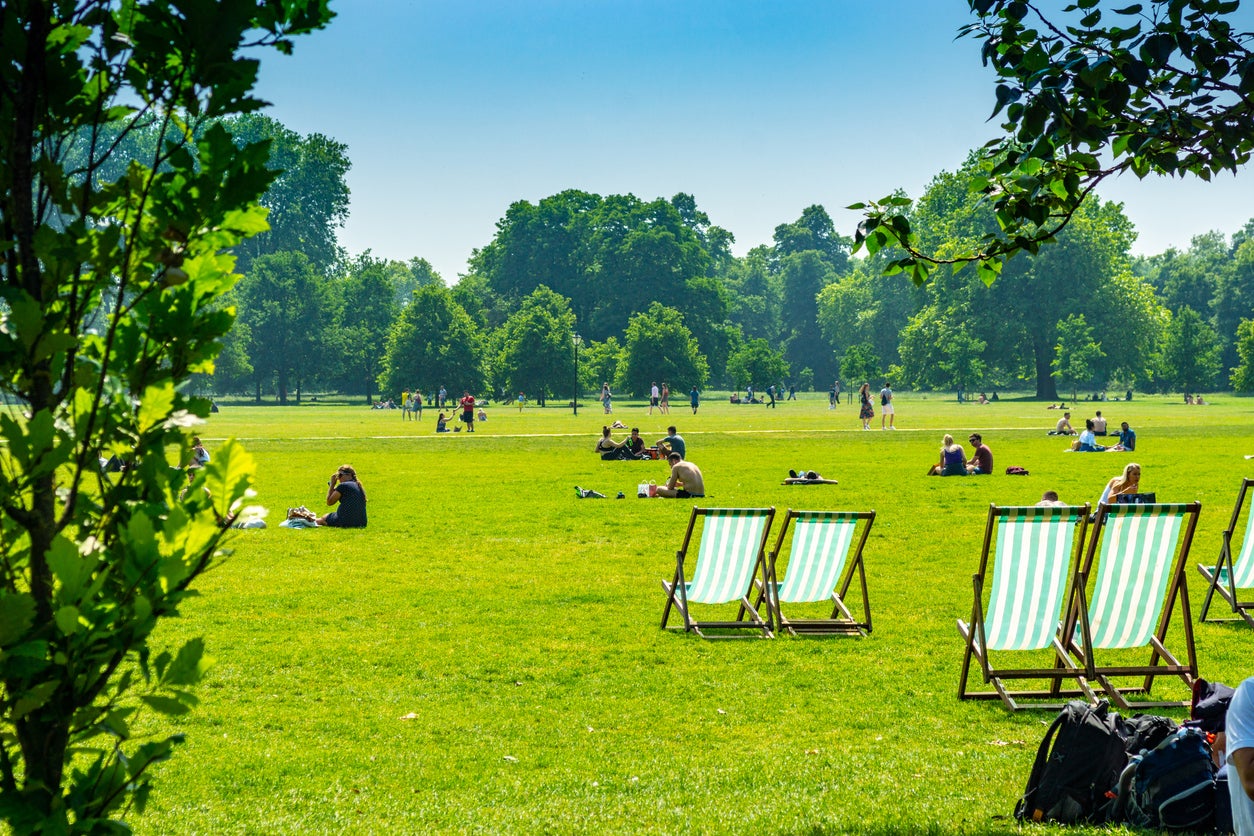 Happier times: sunseekers on Hampstead Heath