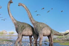 Texas newspaper publishes editorial claiming humans and dinosaurs walked the Earth at the same time