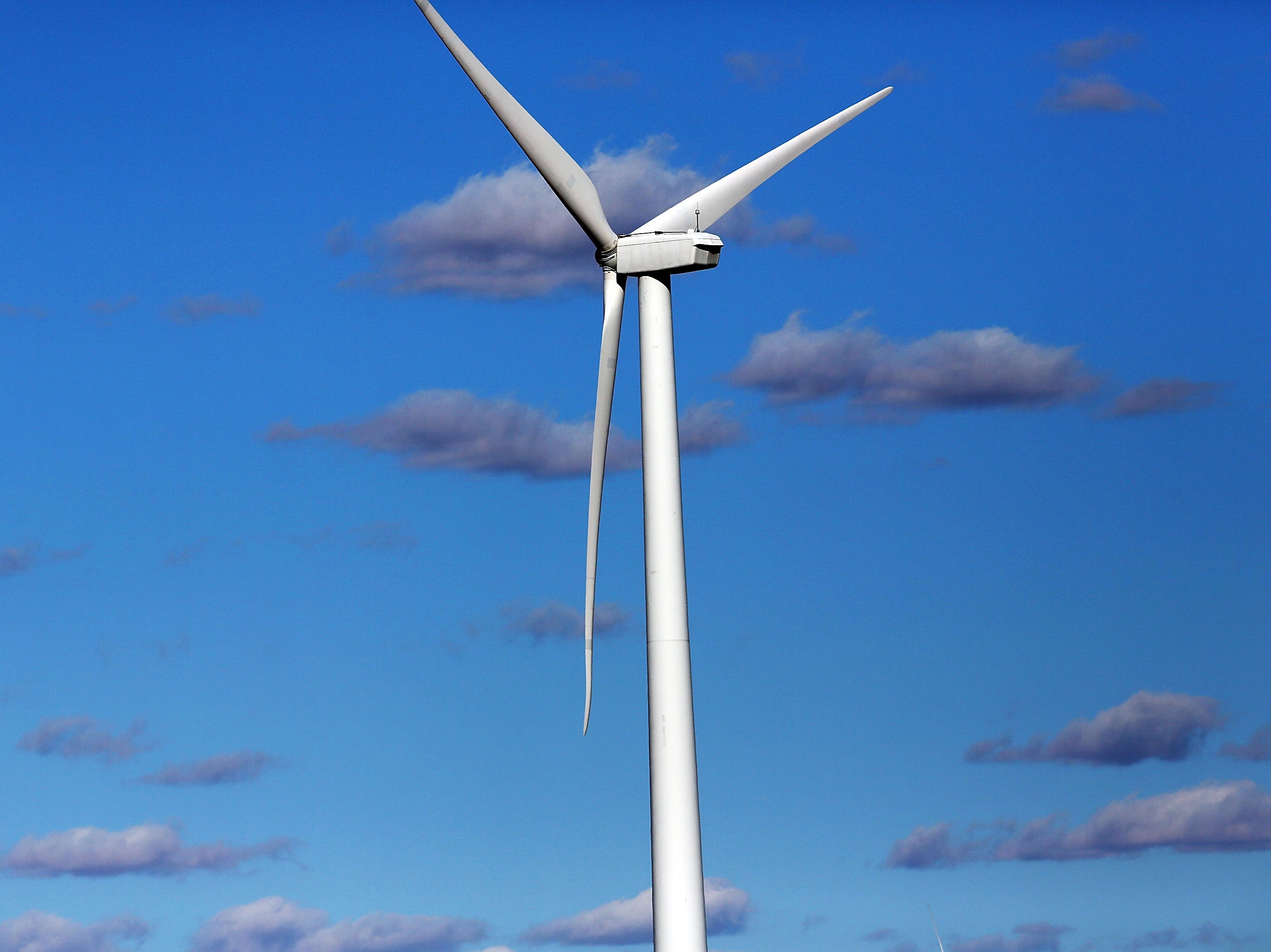 Wind turbines are freezing in Texas amid ‘unprecedented’ storm