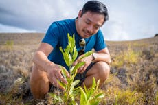 ‘I’m converting Silicon Valley money into forests’: Ex-Reddit CEO reinvents himself as climate warrior to plant a trillion trees